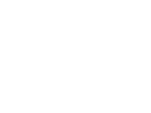 Pedro Perin